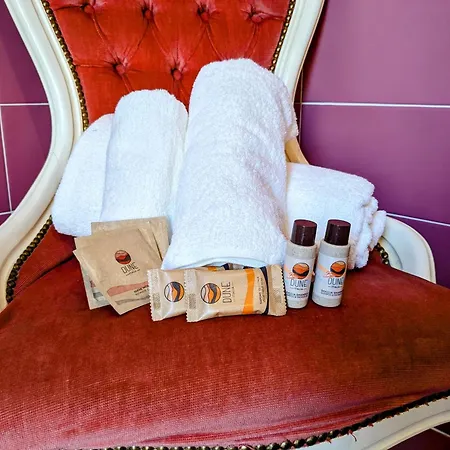 住宿加早餐酒店 Dea